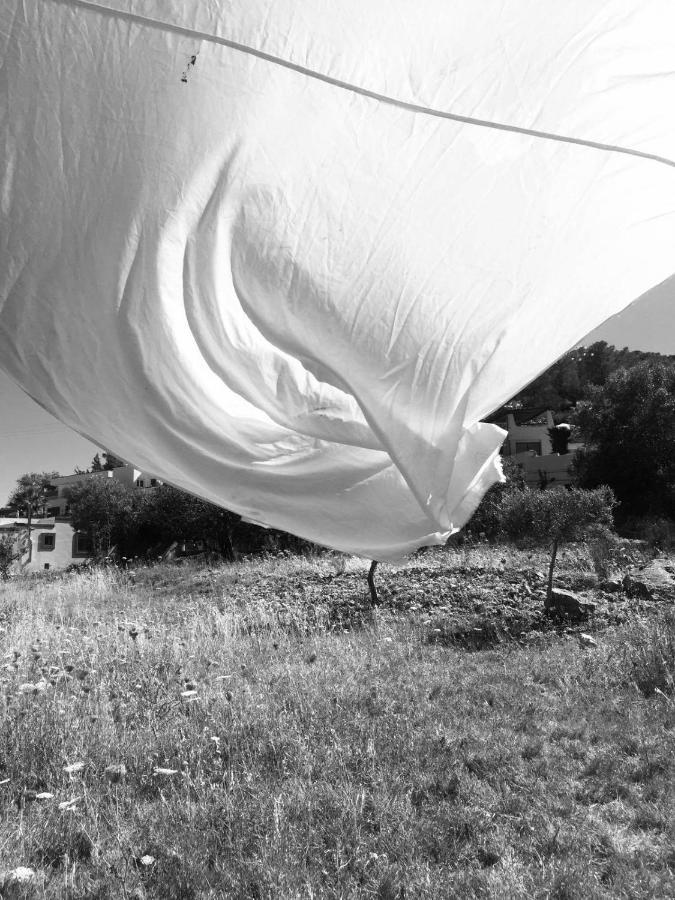 Can Pep Pardal Sant Miquel de Balansat Kültér fotó