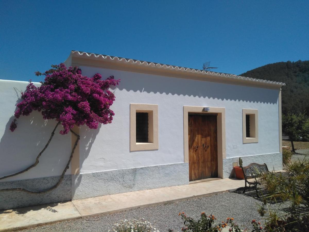 Can Pep Pardal Sant Miquel de Balansat Kültér fotó