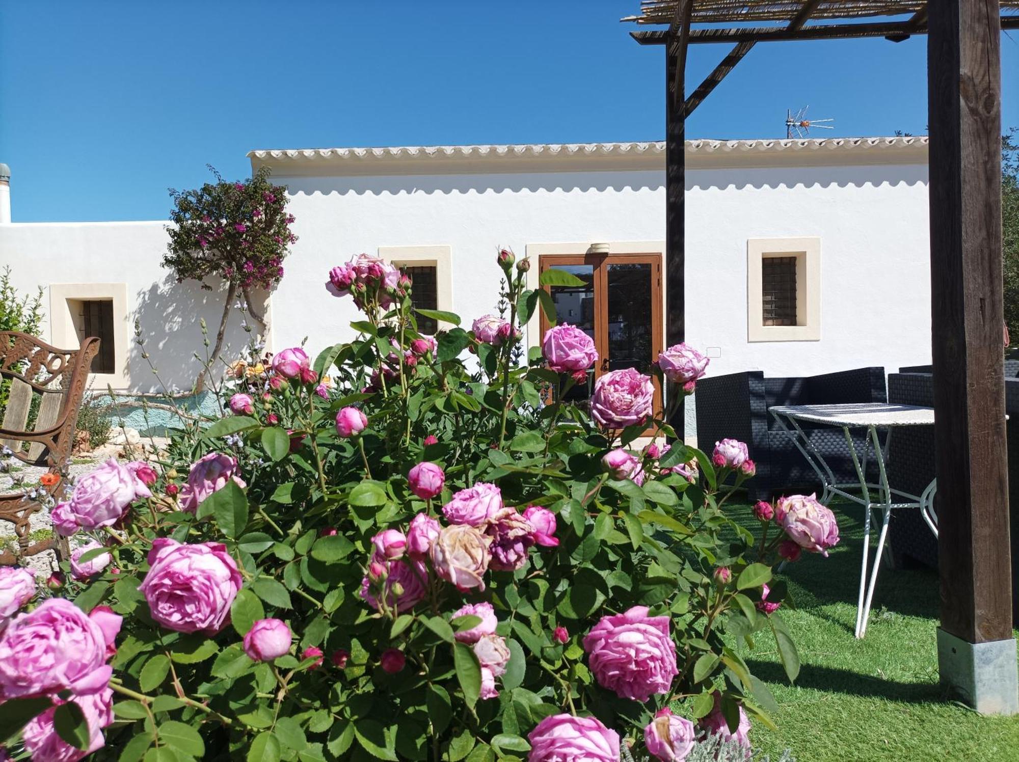 Can Pep Pardal Sant Miquel de Balansat Kültér fotó
